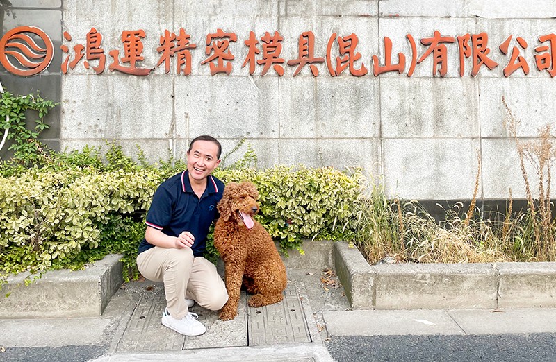 亿泰爱心接力——帮狗狗寻找主人